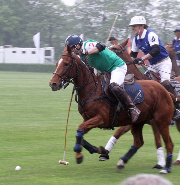 Polo_Art   009.jpg